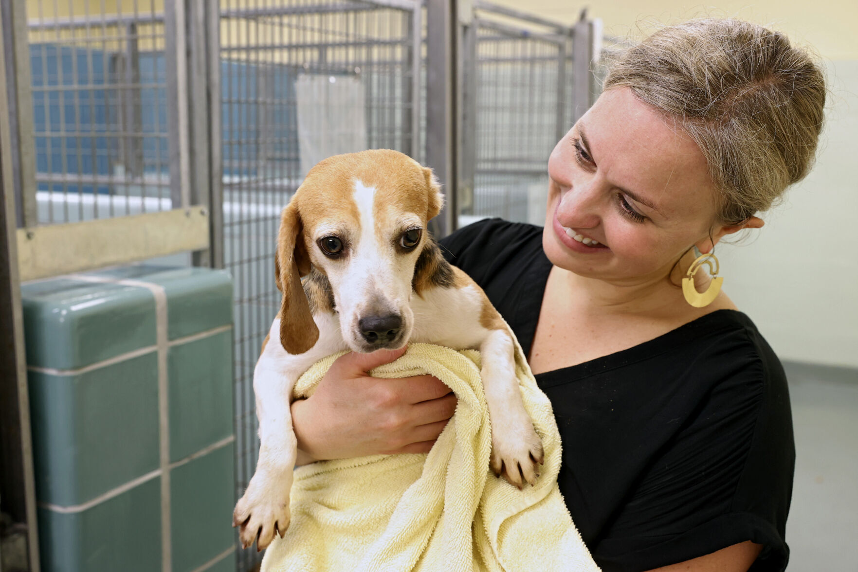 20220806_MET_Beagle_ER_14
